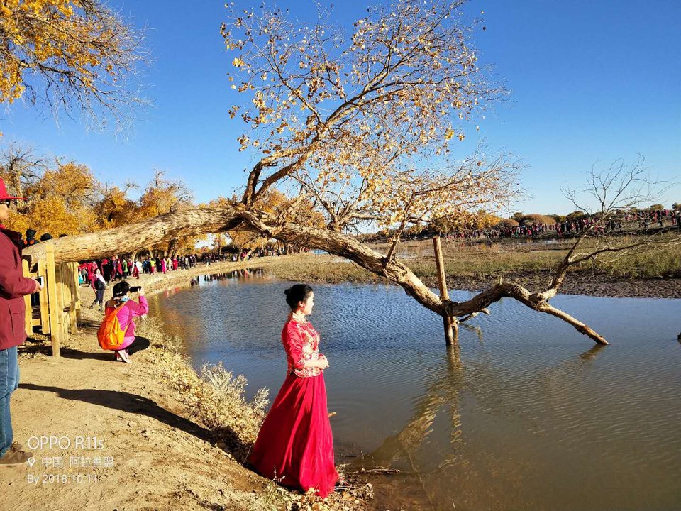 CUPPqhQWMrWXhF195vjTh1uaVJnYxown009kyUqyCSLlvuua9eXdwXfNh38cT1zZ