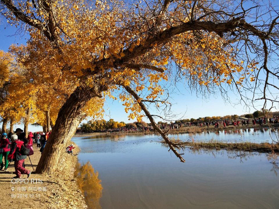 MzoL013r3Db7El1-ETigHzd19CExnZRjf1cuIahoiTi0hItNvo3Kk_g0ROqlGyxy