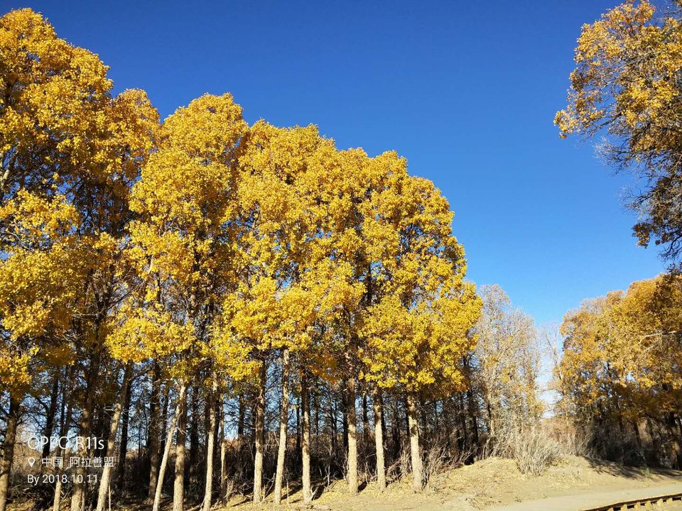 QqnHq_akYU6Acsyy9szgd35Ng0S4j3lzx9vePaQepXJ9M-4_HeM4n6apblwnQf1L