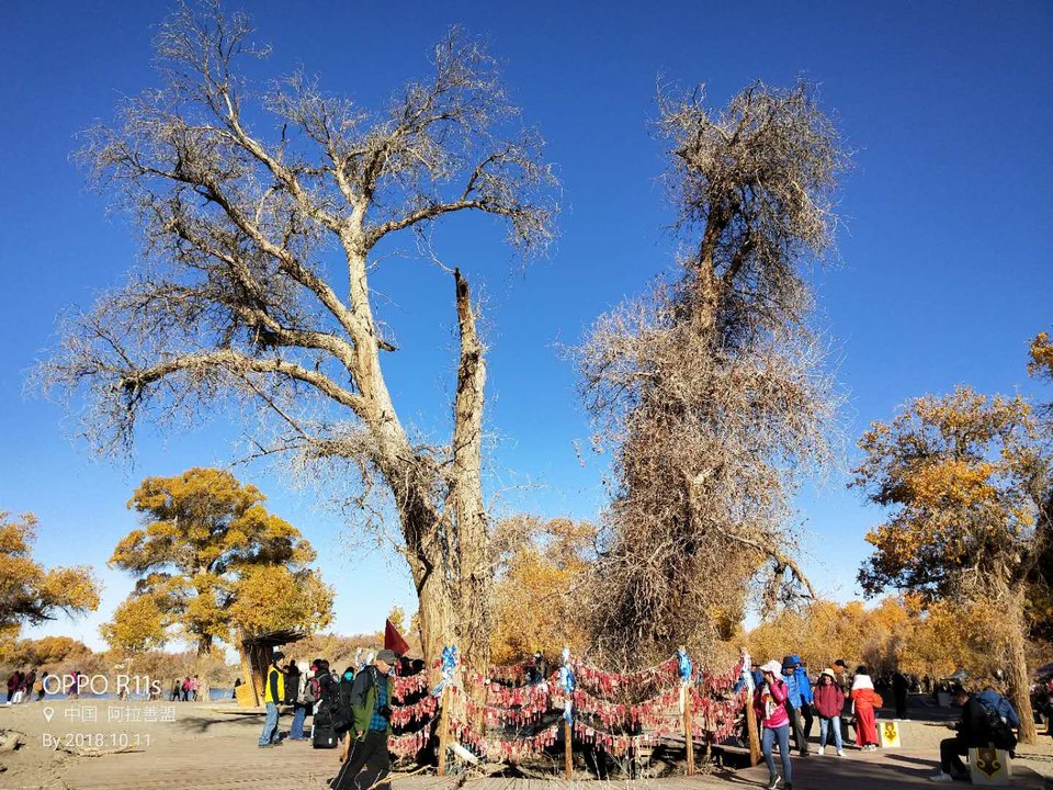 JpTciBFrgX9t1vUgAA5Zyh_KlZ7O52HbfGiBpu_ld_xBsosrKhkMLLIO_t5wLQxY