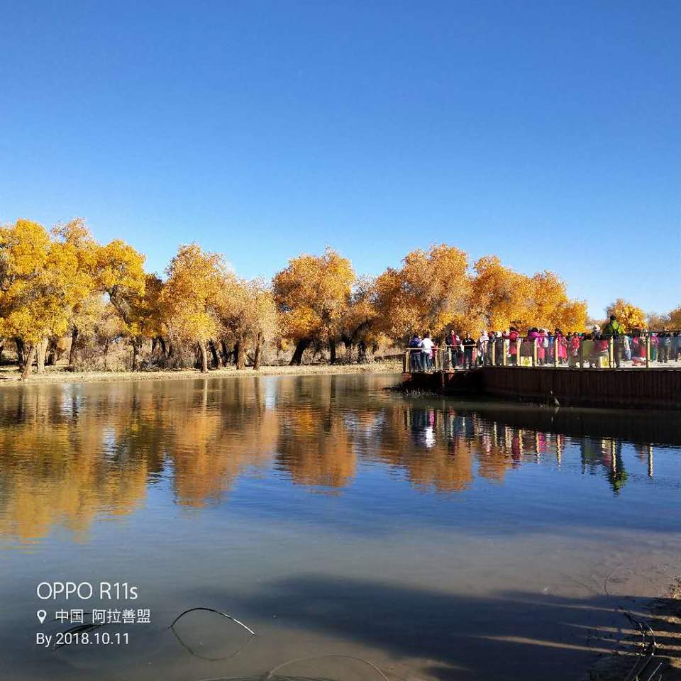 WVWkxV06rWetVcCDIZMApOTeHG8xK8X8X6lOnOojc-R2rs6lXT0_KSXKf9Qjrd3K