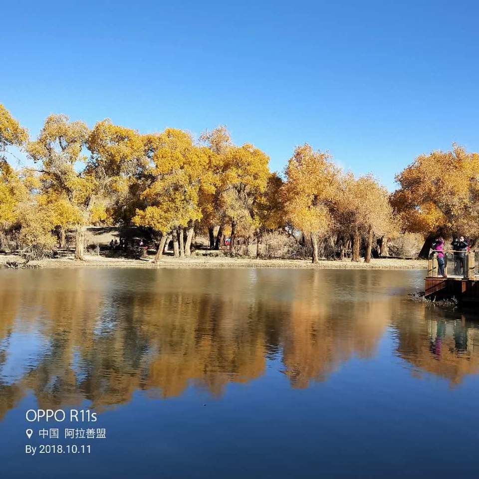 jVIpxC3neGb6KGUqbueQjzXJ05kn5Ima3QT16jr6Y6hqTMuvpkjzRHoLh1hpgC2v