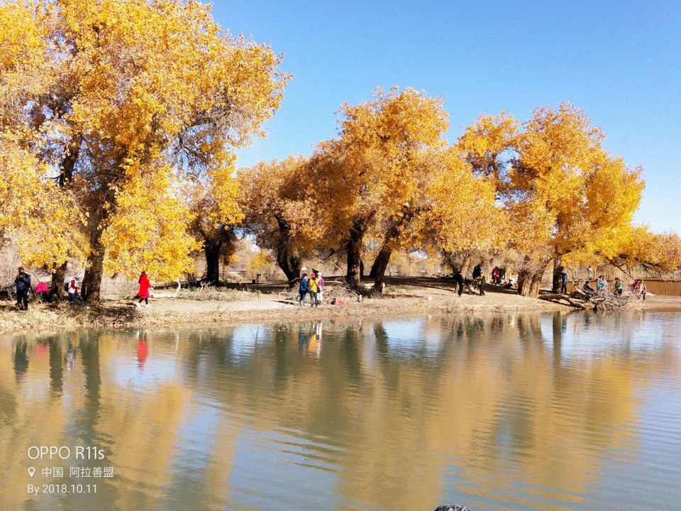 LAvZiDMotCtSySV-UL2xMycDifsZ0WJdJfxVYoXsd4gnhaksIsQbvXNKGj3bHtUm