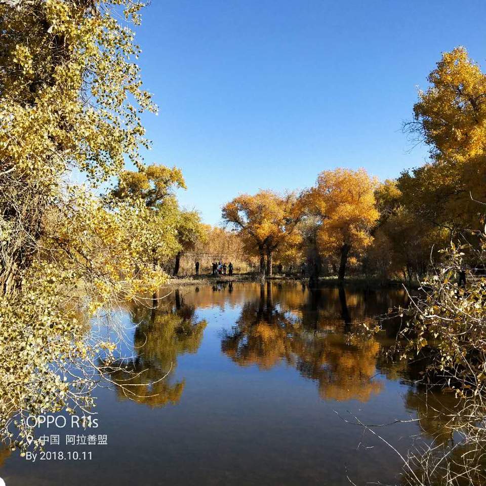 n8qvzh5MkdePiMxDO5-JL_zFbTS5nOJxcPsAgklhbfI8L8l3zVeb4ESCEj8NZEMv