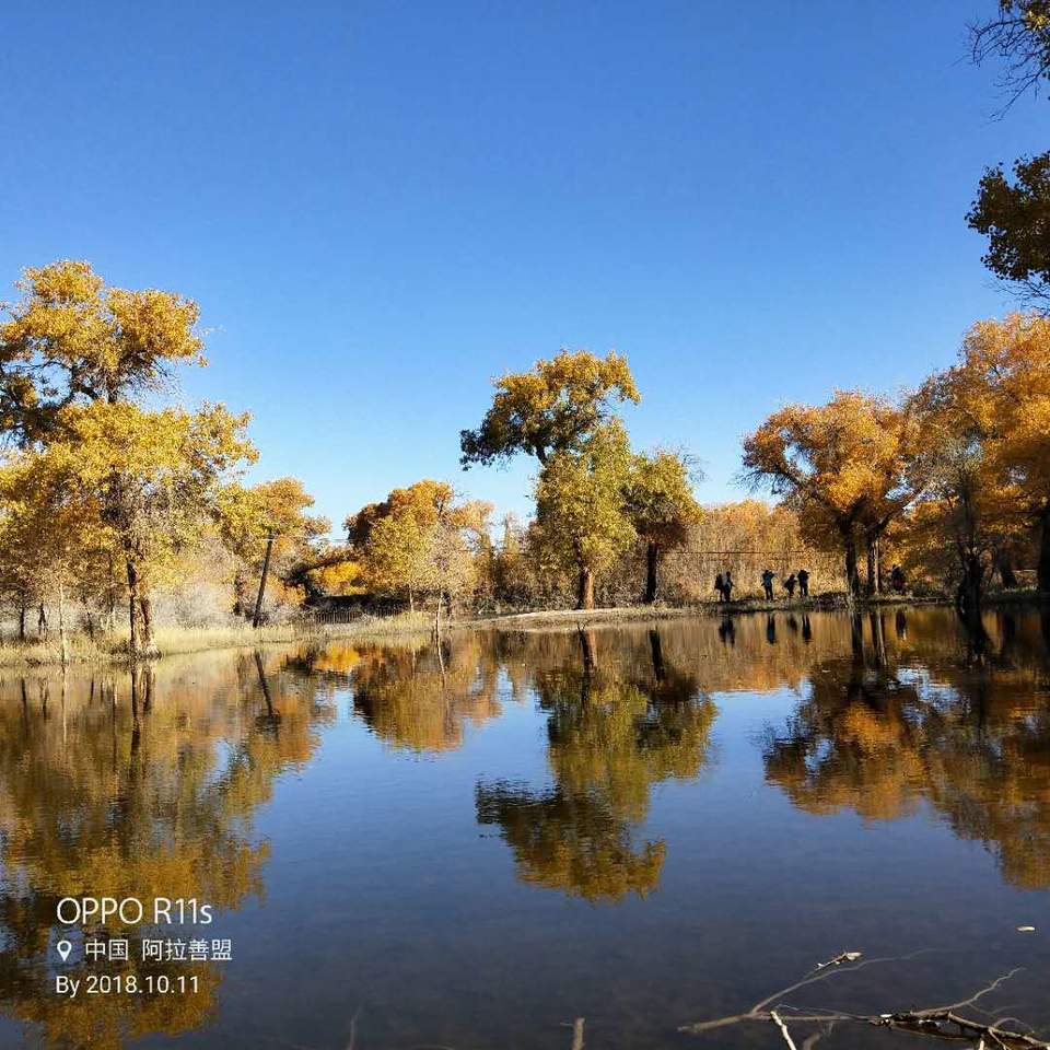 1b0l12WZ14GZaGKFy1PZ0HsESY58kbdu_GC5cUyYiETzIrCHmkW5JA-0EaExgkgC