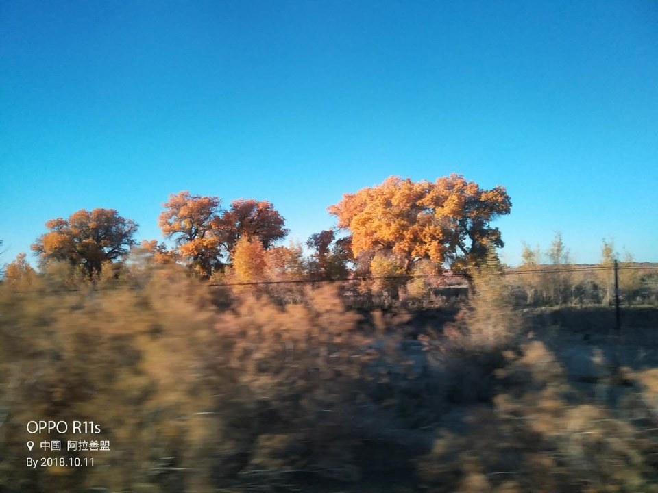 vmwYhFS2xGjVuZunumCvsbZG4o3oOkHltm8ooyGSD1DY0O9n6Vj6TpgvPI6ro7vx