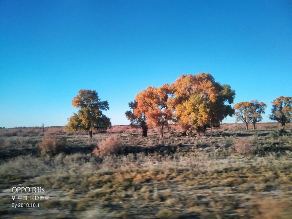 XyrwIUIKcoz0vuln-fOd_KtjftUkzXI2W03rg-E0EFjBwTs-ZJK2SFgAzZv8vXql