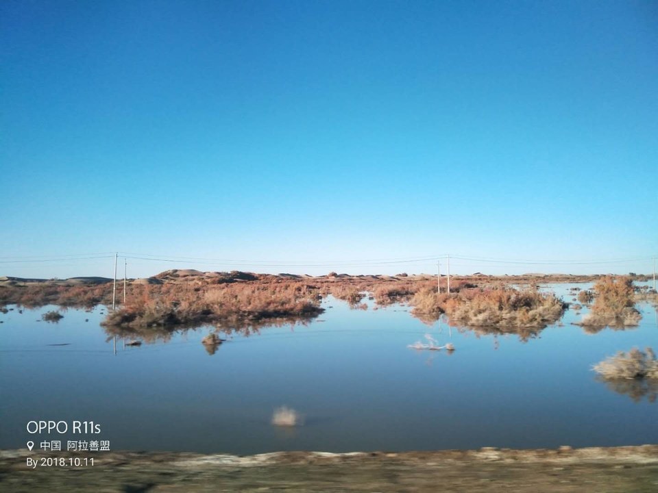 cWGTWpDuX4Br4u5hLbENq0j2wcEeNTMjl1escWt4Gm2mdmA5crSmeA3MNJK11Qf6