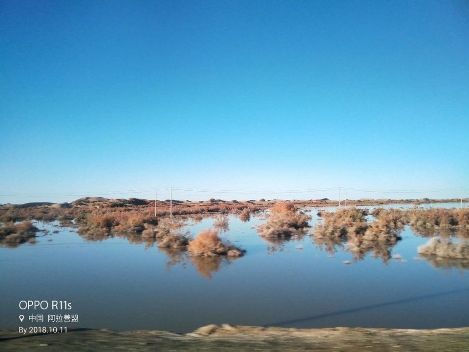 mSVY6ixNfZ_8JRKoSG3ZcdO5hHi_XoVNPDD0AUbqqbrUbMcJqyZ78xJLuiabtS1x