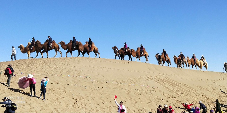 LS32M7LPibqtT-clpOQ09f9zaMMZt-A4FMTsLQLlfylb8-2OFz_0LGXV0ywx80Aq