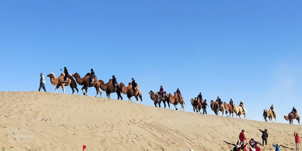 0m_Zh5oLPglS_1LixdrBVA6LX07--vktLjRbVxIh8yZYqS6xrTGndvOKoWff79Q8