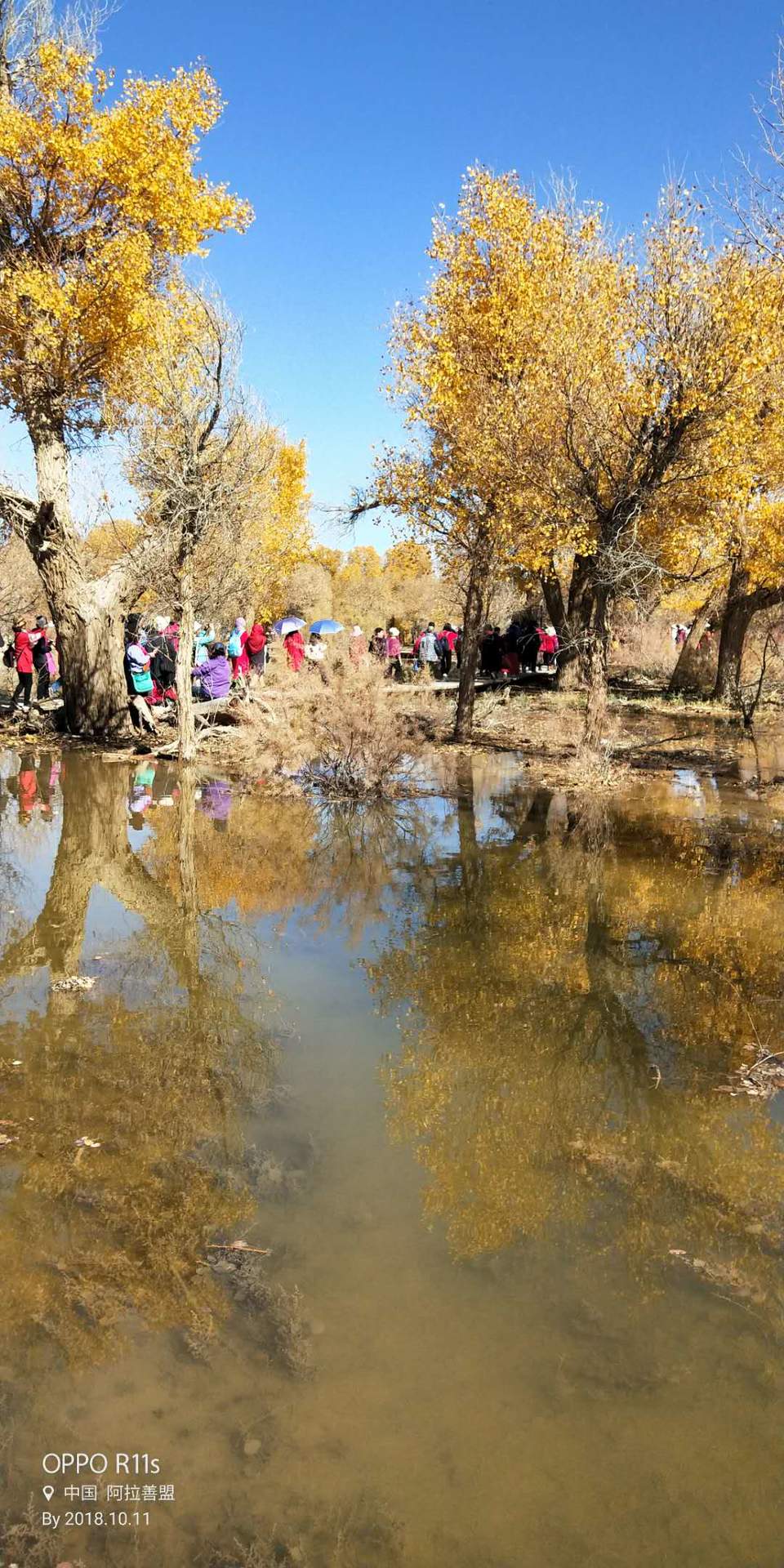 HkrMaVCG7YDCEEI6hi4GPrIGO0yMzSniF-lRC6qIbsKlCRzMl30F6bSHc32M7YDP