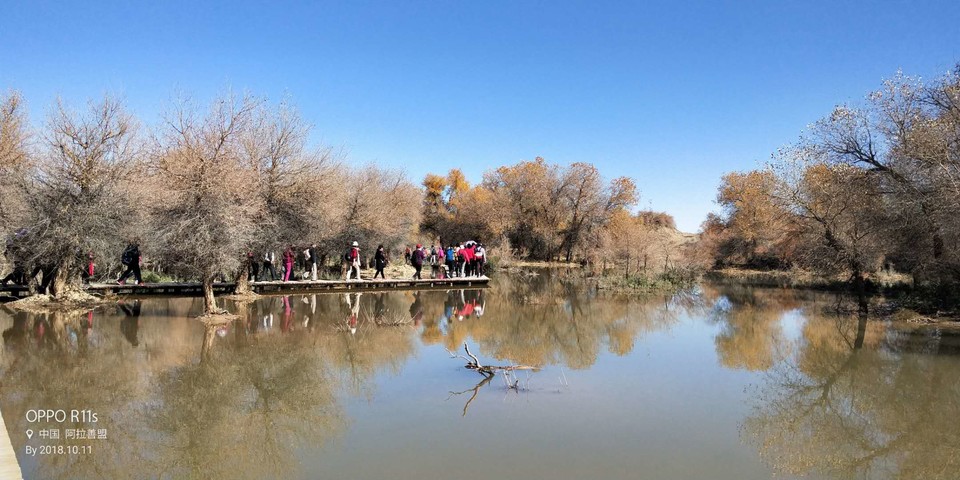 6j4CxqDhH1BcGn4tlLCidX9nldTCj_3woumocO796hM7BbQ2lOanAxiIL8E30Dvy