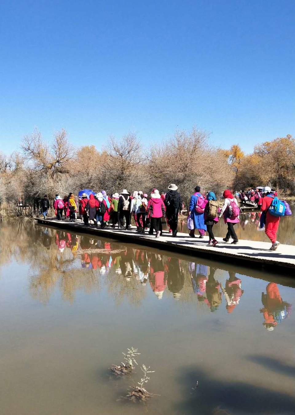 3W5da2FM1SuNpas8xTe1wuH7RBMlIbEmW2VsYaGk0QUzIEyUzrQGWUqKzg3TYsto