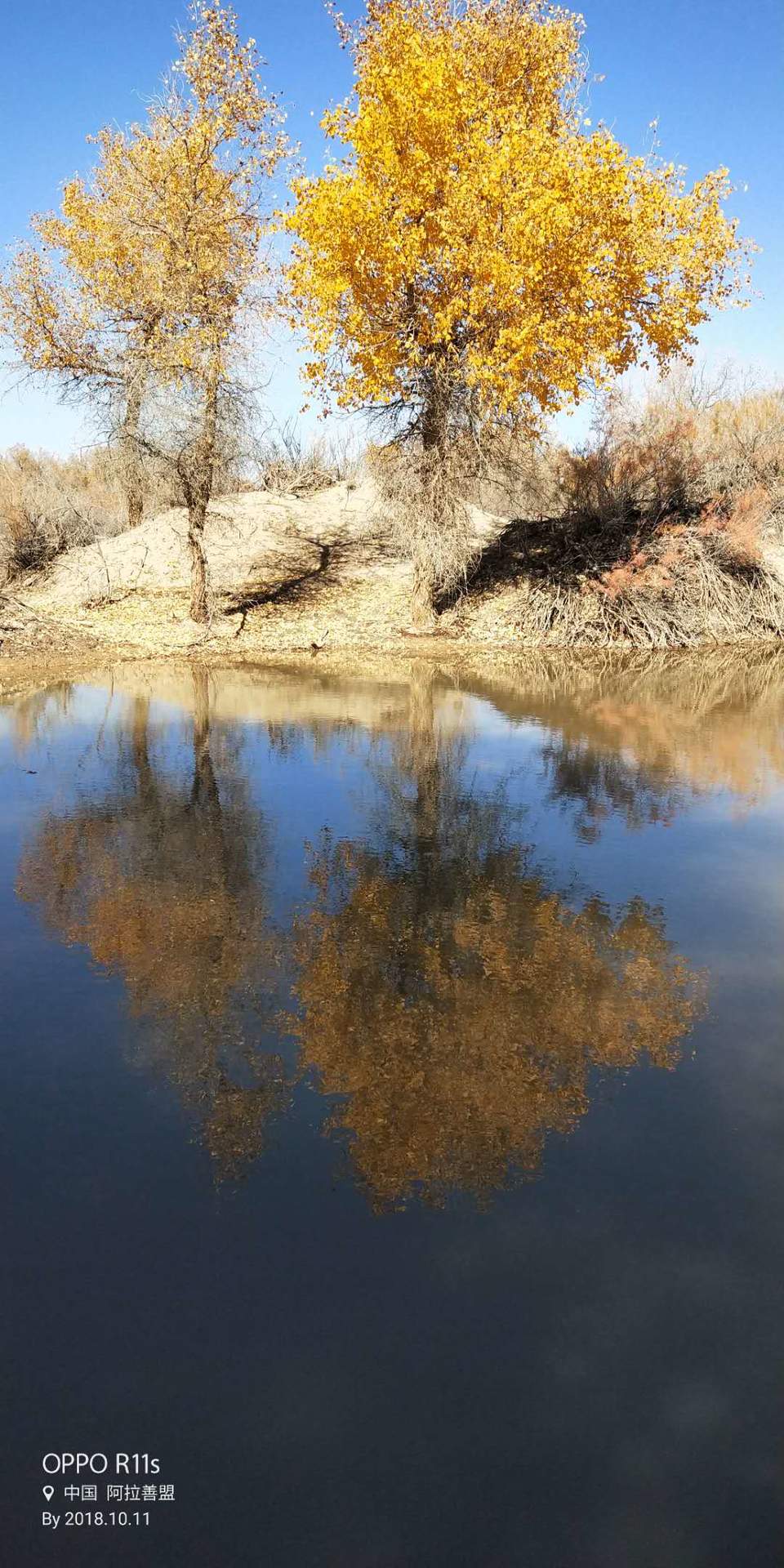 Q-lWh1tdqf7hU5e7hsKH9Gkph-M_S2R0aXcDtGkvLX30-qefkWdbKTIoAbDL8TGD