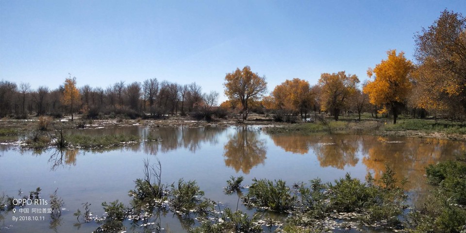 hkdvegZh1Z92an9aUBkE6-5gCrMFaKcZVaWWpQBPpi7vTF4IjDiimJxFeOUAFbTj