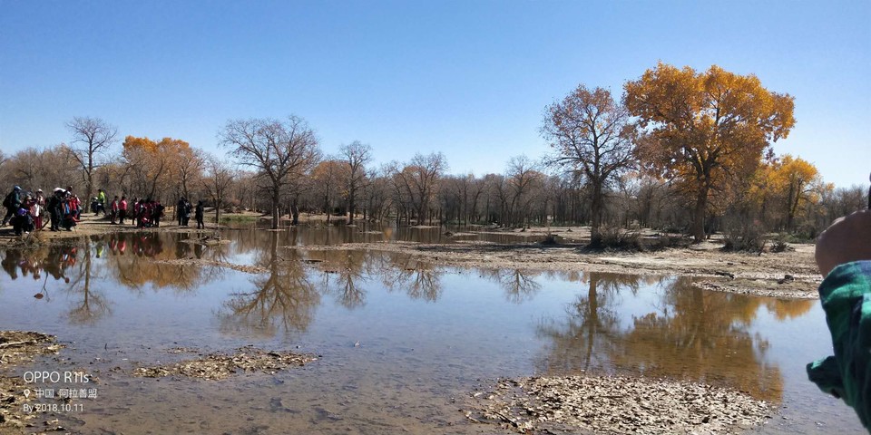 nmT-ebI7_T7_ljBz4-Rum-0u2uMGdGX9Ovtu60rILGvym828JEXd-5sK6go6_TML