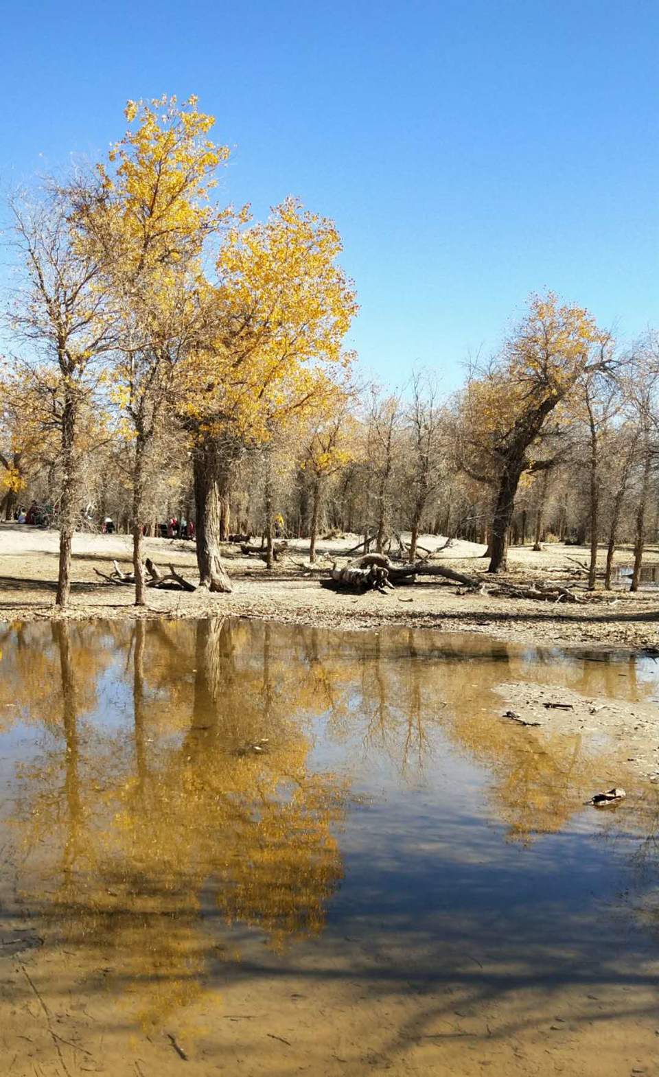 ZdcWaEtlYbbBay2stl1dZohUcEgkmkrh01i29b1OeXniWNjEkvpCHFzKC6Gnefs3