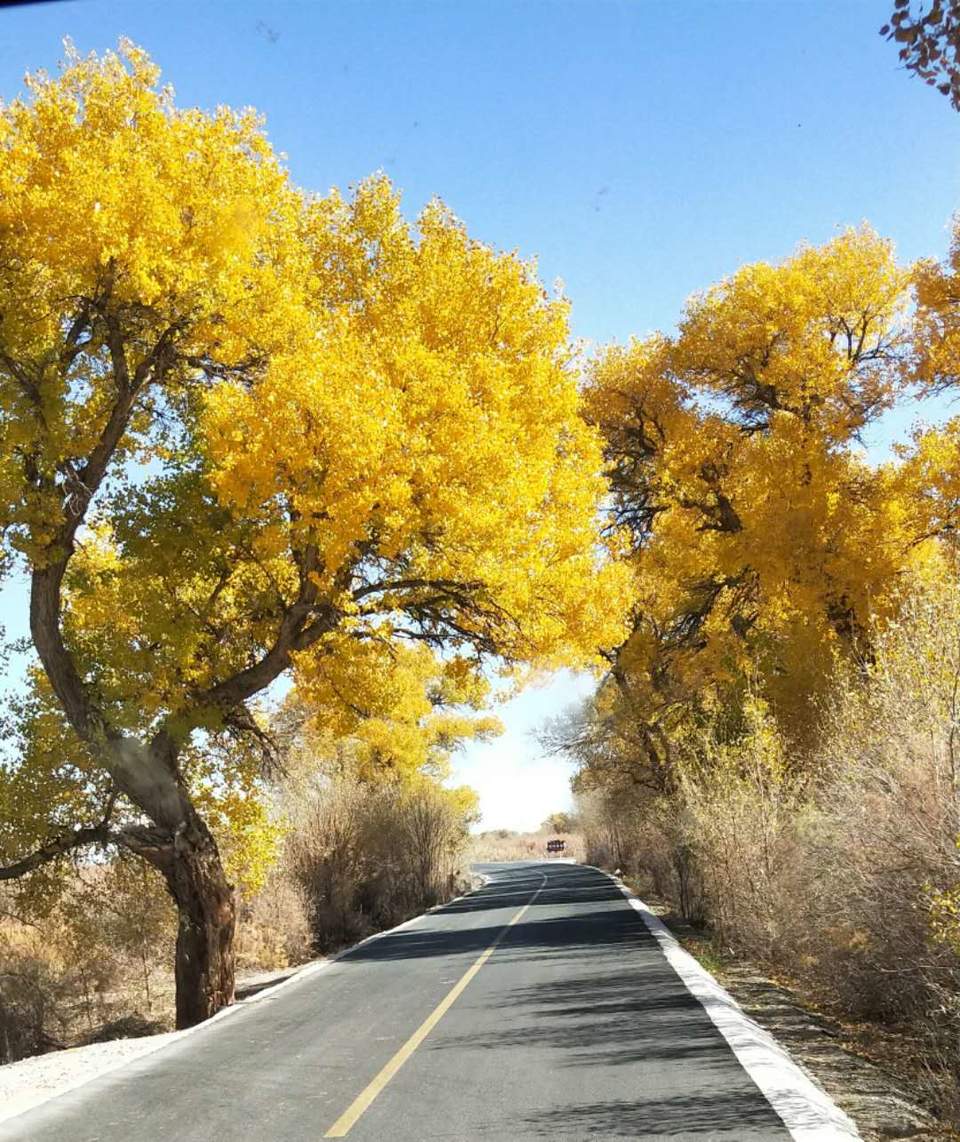 hD1cp-c98AlTNSuw28lvAngkujtXXuNansGdUx8DpEZDuvjx_BEUrp2gpsDXNqDm