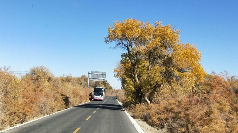 d-fa0vCfLCDjb_8US3IIY5WvW99nsfetEwwZqdNHdHXuqKGZUfxyJ1eDQmvRD2oA