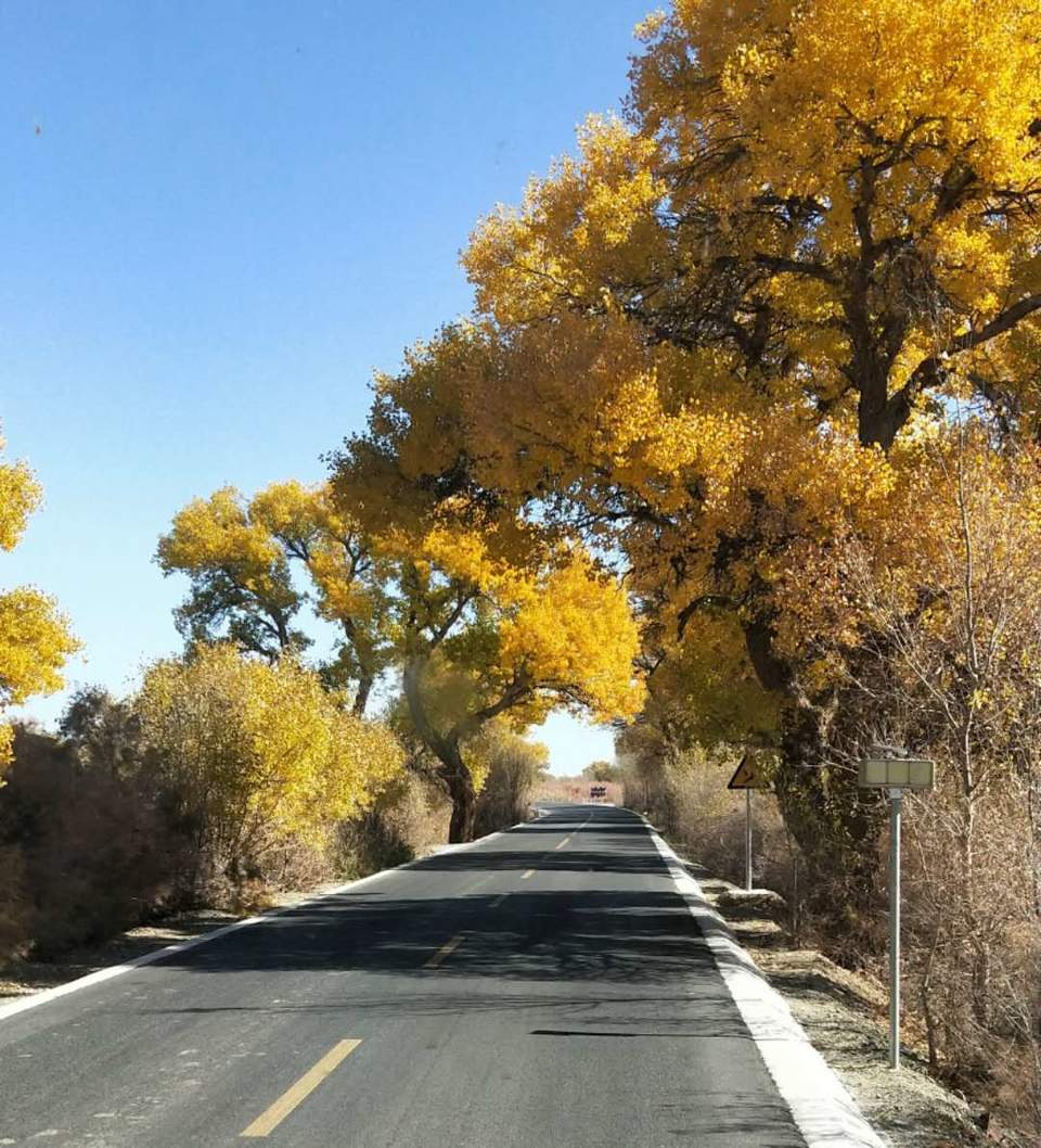 jg_sl6Zjeqc3oh6AlxACKRchKzEz0GyAlp6yZp48W6MNYh7CjIBURbg4nuSoggds