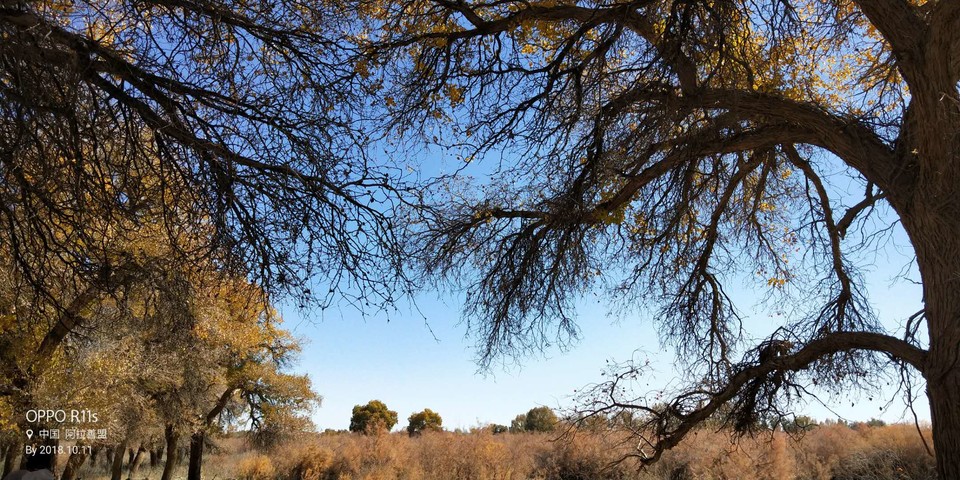 twV5wQtKhxH6RkjCcpkhjDQtfrro8KWkndtXiMM33Zdj9xo9a4RIGvvKGppT8kDk