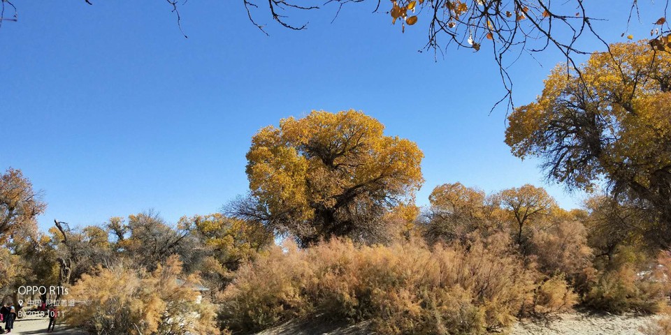 z2BAWuuxYHwKGX56kNjw2_fQ-l9kewYRtvSMicdZo4pWfDaLDnqPmDt4_uu7KBTB