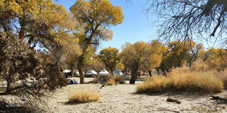 rCGjRd8I7_znjW3HwXjkt2XxwBZa3e5k6JmOFPqu6uwJK4phErn9ms5lCUpt_lH5