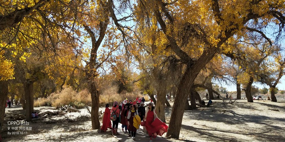 EdwRgcC6T_Ei1OnqmGFFzYRu_1UcOHbCpDNNtPxM7xN2f4bDKEuHwGwjG8hpu3mc