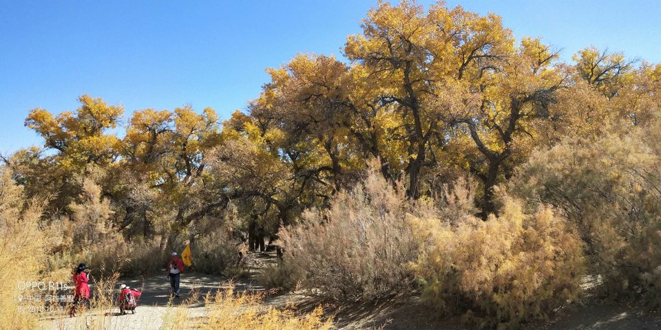 IPsdCY5s9ng6f0_E5LPk-Fou9re-sQptPTlibGSClVixXzZFUvnTtO1GFqMRRZwg