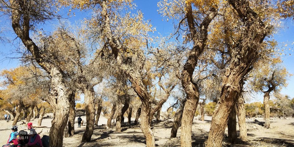 PPu7wE2CbNgH_my4V-nQqT2f0vSFAfmuLvLUgNmYVjHsgQu1kdbzSlaBZuoe40j2