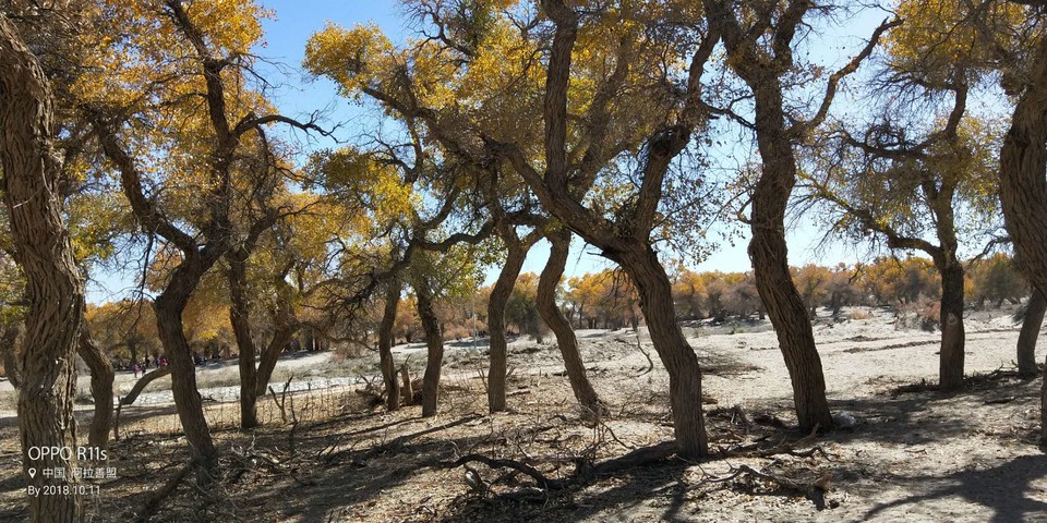 SiXP8Se9H_wfoyer2pAiZTORSi6D5t6K9AguHj46pwbOnWTFLzOqmqEm-ChHtsxC