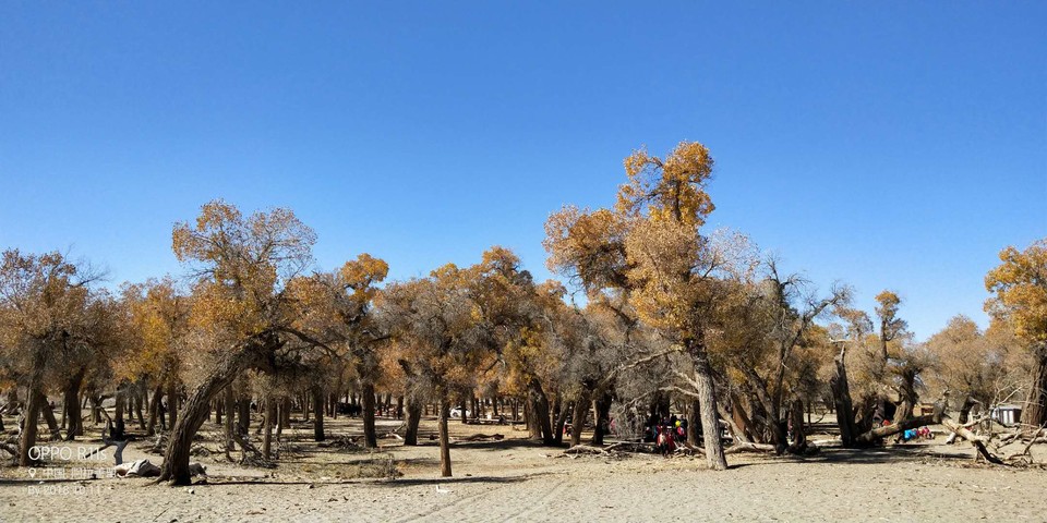 VNwaOFkTcT5qQFtkkHhL8mML8L56pAA3xNQikwUm7UQsUQIV8M8wbZLYFcc-huzn