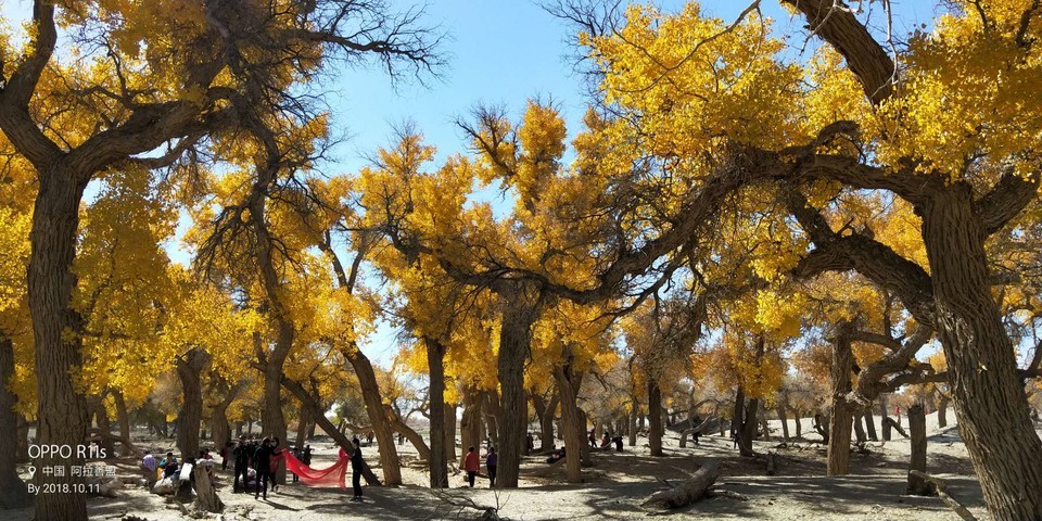 hgvQVwjs_udSCM9anGW3ULyW7WlapduTqdDv6TJiOm-nzNCMmazQChiH0fXn8okV