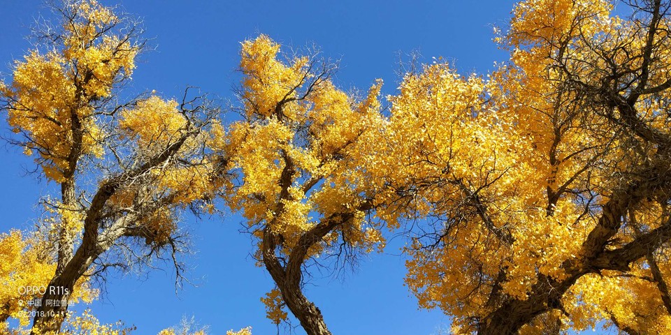 fCNhvP5R4fc8bEQi_zdGSYwlDrSnAmHh-e9SEW4nf-MQjzRO77evH_18BsEuEmpY