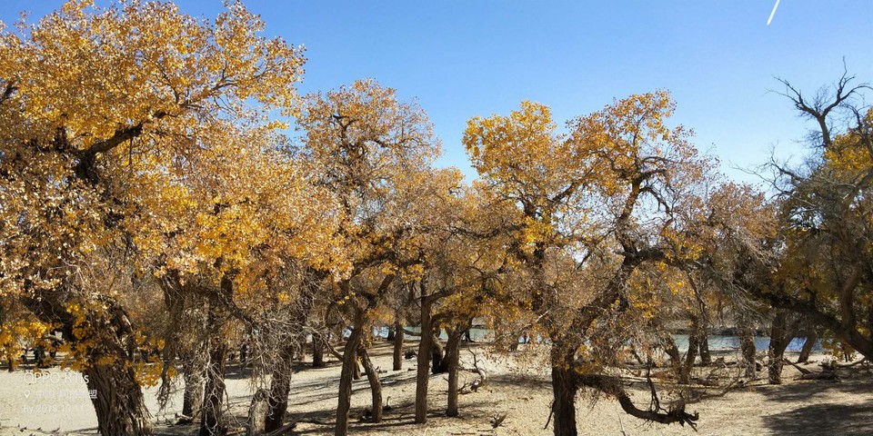 4lL6nL19bvCrxOjmAzfaCqPjRDn1tQBxZXlvayRiziZc5vfYocaN-KTPIT9tp1EW