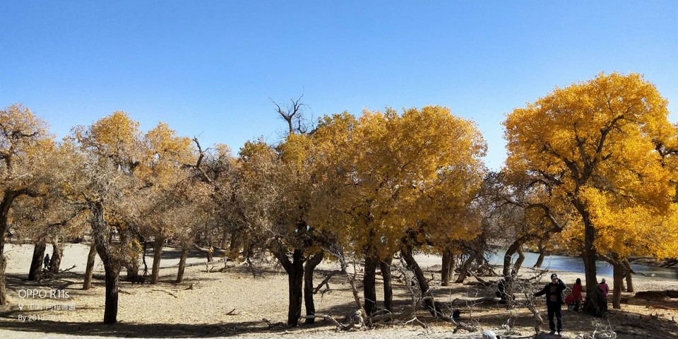 s0MK8SpS0N37xhtyf2iX6zbWHcMzwppHnLlVazBT09gwpqUQ0kKgedYQKhPX2btw