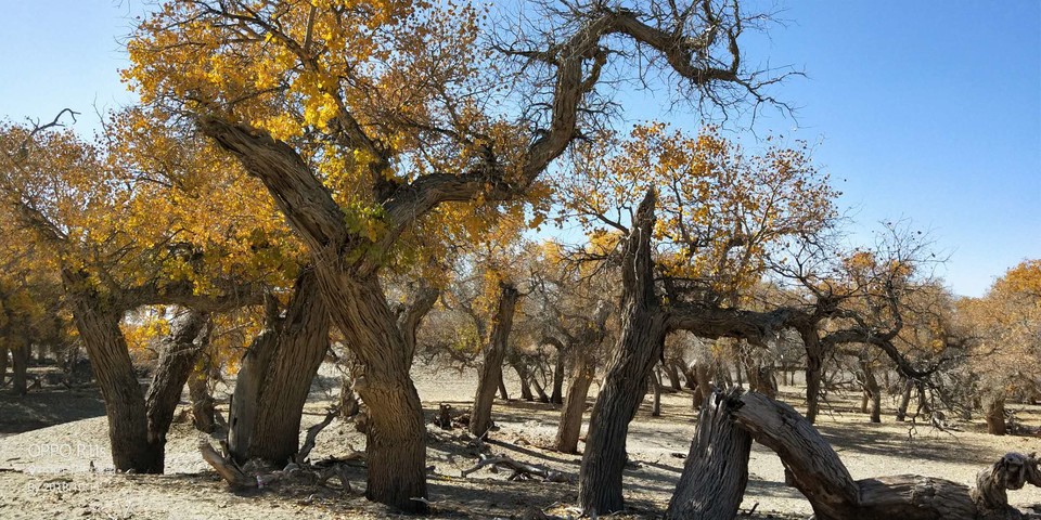 v34ZWIy17c3VoO0S2ib4wuYeuECLIdscNaGZAFIF_gorALklmGMg-8ucKsWbItZm