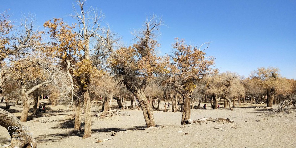 zUwqnpE6SvvN5PqkmV2N-IBCdulR4DLoFh45_W8IO1EOXrZpbVvC-aDvVNqokKn7