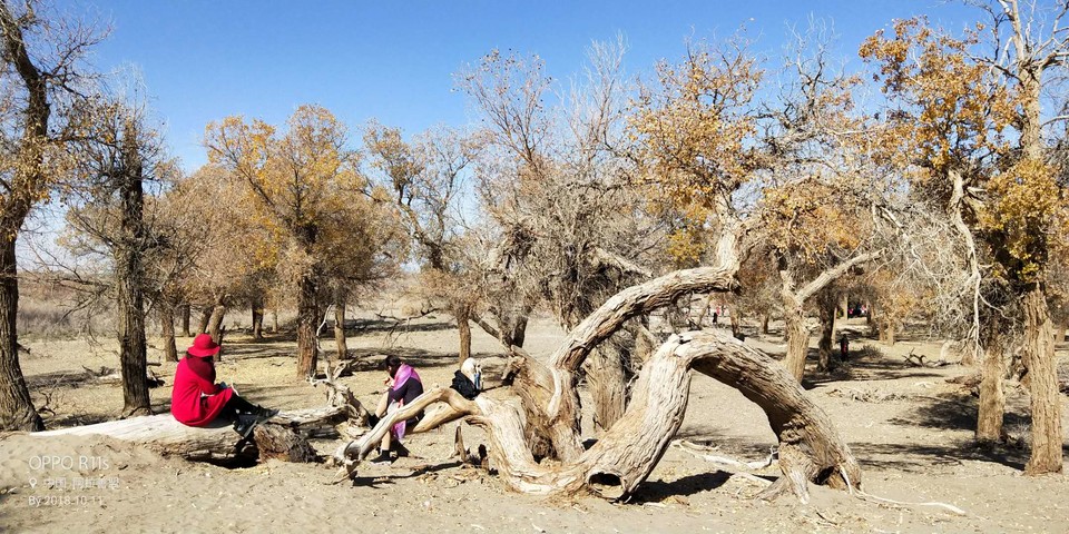 TBsxjFKU43glz2n2A0HQsf9CkGLl8NAvNIuQspVX_zxEf-fO1hYXkyUd10DeTkpT