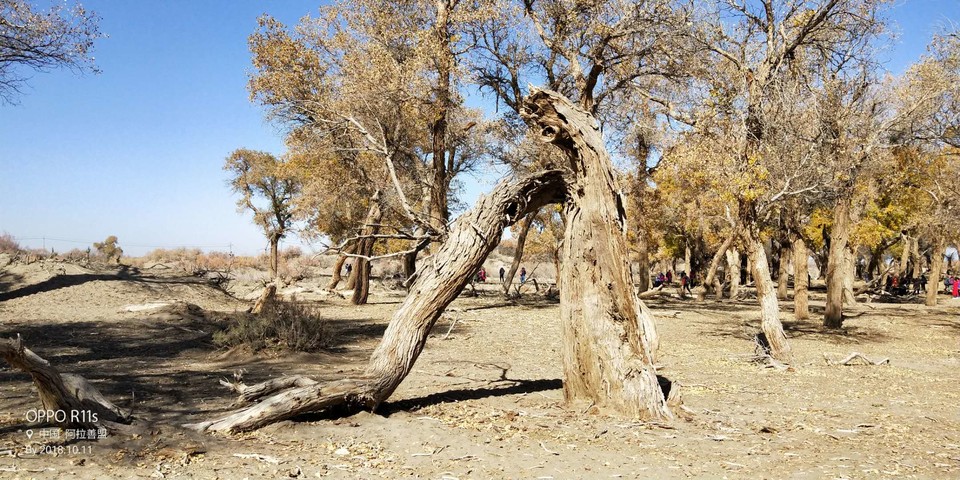 dWfeT2ZYDIc2NA3iWhoKZ8ndbEKVl7VpU3BrPUmswH2605jCDFVdcW2SnkhDnts4