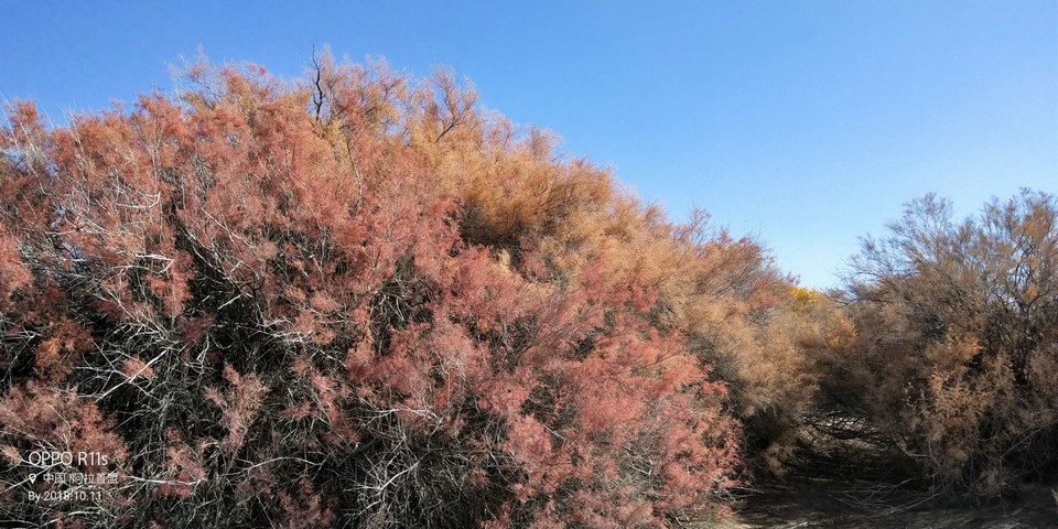 _Qd9gNOkYj-wa3IGY2VfwjLfGMd5Bnt5sIpLnjcfNXozk9tnnkbGYaCVkG3qtKm3