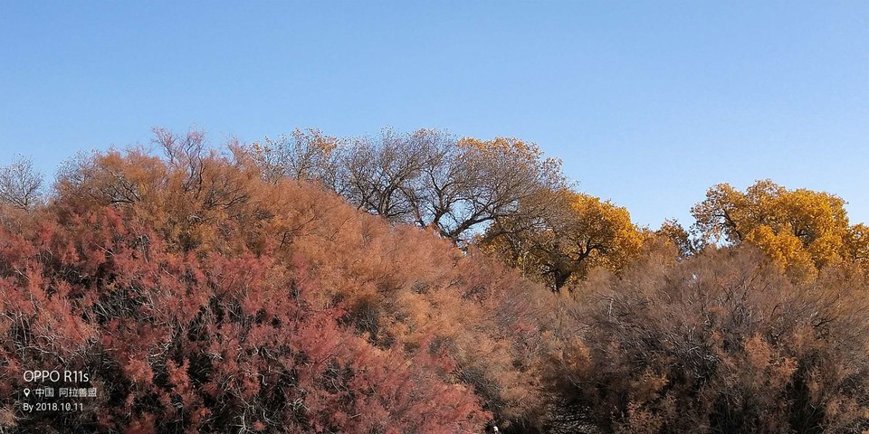 ebXN-ivo2xOIYshsqURUYYs0iLPWE3WHC2sSUzRh6NHAN556nAaiyF_qkLZVIJGN