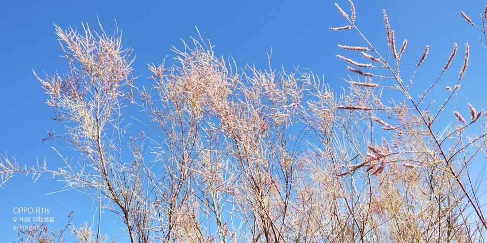 76uQZR3IQlUwKz6fUnw-l8Yx4hE_P1aluQTaAYY1eOr94OqEOFj_VTakoBv1hFRX