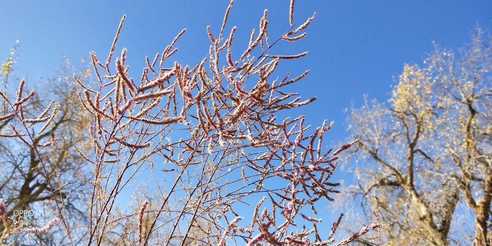 eHAT460IvNGZdGwGaJXvYPg1X52VQHrazlkWHePs3GsRFv6OnP3ls7soqgRwvOJ0