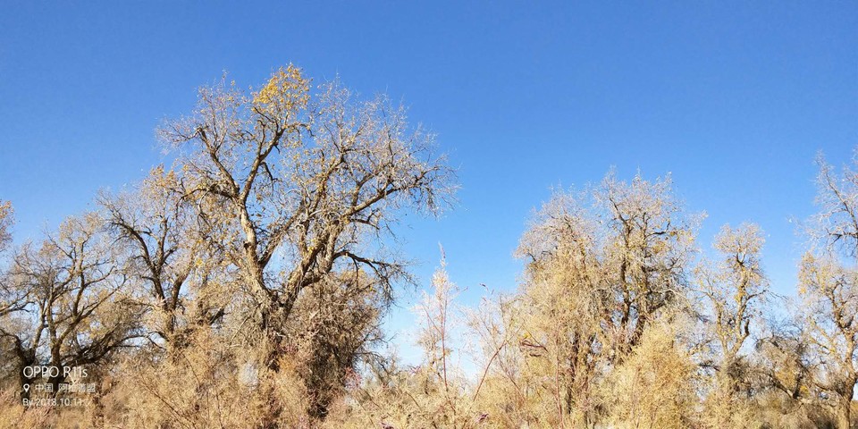 XKRSOOH7rRYQbfXVNXiKYWLLyVZaBNQ_X2Jtmt_aI9oYuCxLYcf95FKRExGKfRTi