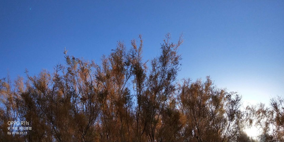 BgQgzfL-afKRQQ4ZglOqf-suhYr8yCPCRMUkFwulukzFZtD4Z5jZvMhIi4QyuBu-