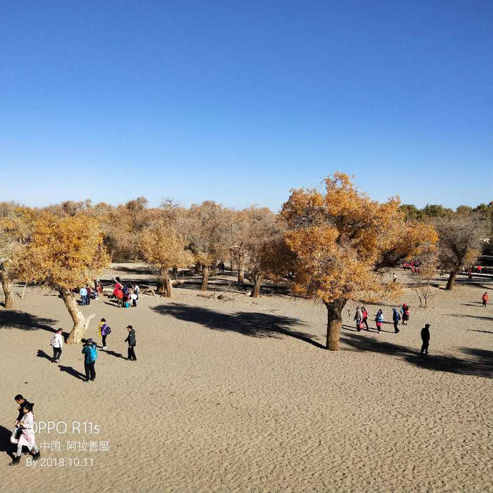 QTKvhrVx9NwSVGJZCU0UwNXhOe20x_9Webvr6R6jcm8226ijhUiIxHGxqHuBaRA8