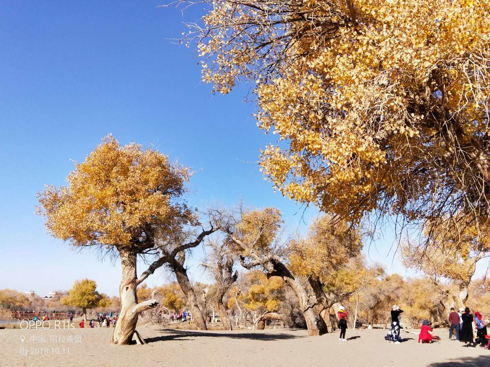 bd_q7Z3A1PguC_-5vZUnfozp3KNOMC9p_DewHDPL7QmliX96BZChskdnm0KN3d9D