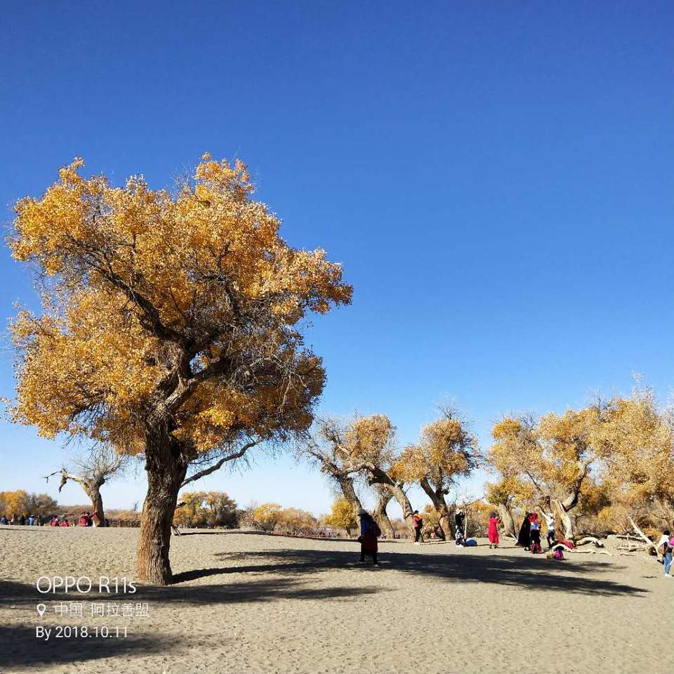 FglqOz6C_ki7ex1PjAouVXc77ETiOUYRUPLE3QYCnBikJBwlu0YLrU0bhKXcNWPo